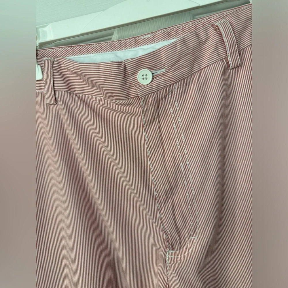 Roundtree and Yorke Trademark striped Men’s Short size 34